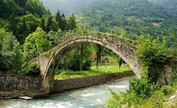 Tur